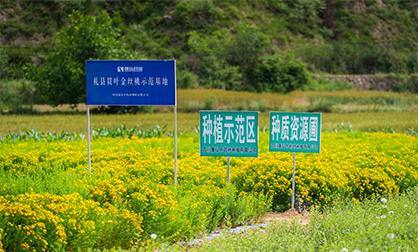 Stake(�й���)�ٷ���վ