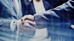 Stake(�й���)�ٷ���վ