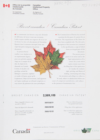 Stake(�й���)�ٷ���վ