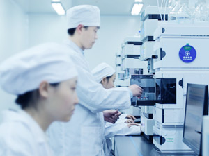 Stake(�й���)�ٷ���վ