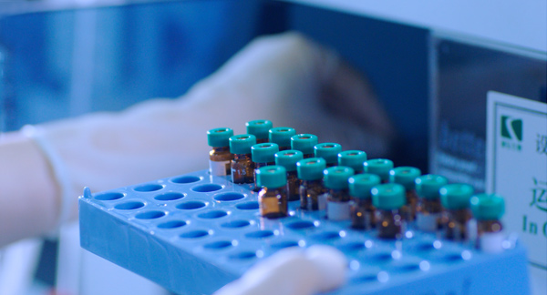 Stake(�й���)�ٷ���վ