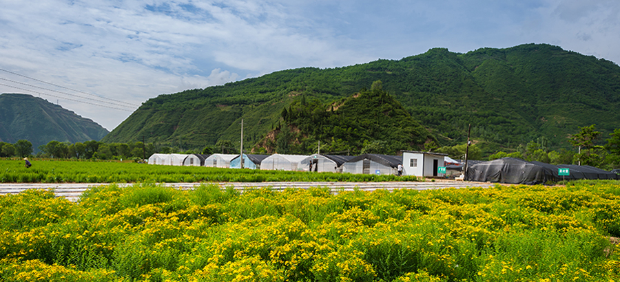 Stake(�й���)�ٷ���վ