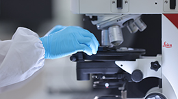 Stake(�й���)�ٷ���վ